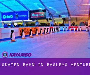 Skaten Bahn in Bagleys Venture