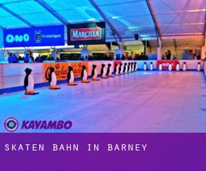 Skaten Bahn in Barney