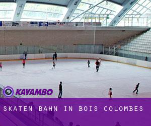 Skaten Bahn in Bois-Colombes