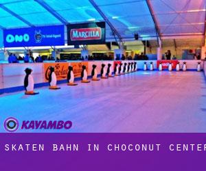 Skaten Bahn in Choconut Center