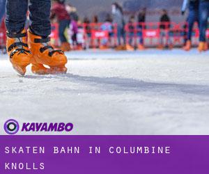 Skaten Bahn in Columbine Knolls