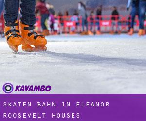Skaten Bahn in Eleanor Roosevelt Houses