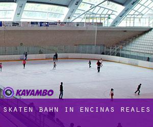 Skaten Bahn in Encinas Reales