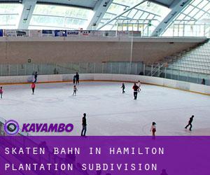Skaten Bahn in Hamilton Plantation Subdivision