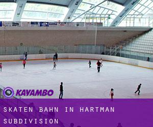 Skaten Bahn in Hartman Subdivision