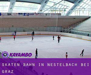 Skaten Bahn in Nestelbach bei Graz