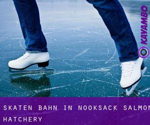 Skaten Bahn in Nooksack Salmon Hatchery