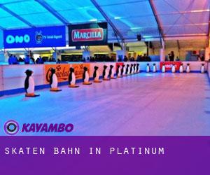 Skaten Bahn in Platinum