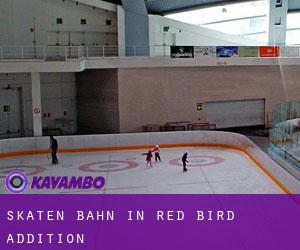 Skaten Bahn in Red Bird Addition
