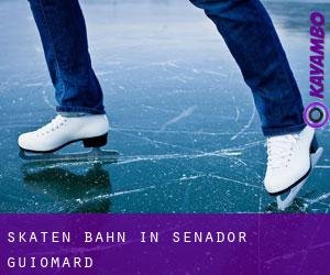Skaten Bahn in Senador Guiomard