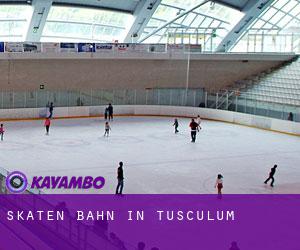 Skaten Bahn in Tusculum