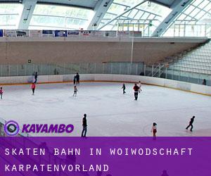 Skaten Bahn in Woiwodschaft Karpatenvorland Skaten Bahn in Woiwodschaft Karpatenvorland