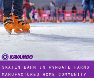 Skaten Bahn in Wyngate Farms Manufactured Home Community