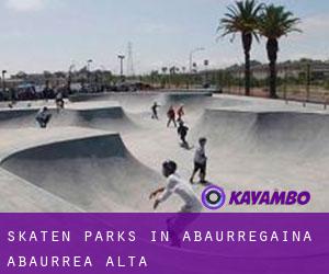 Skaten Parks in Abaurregaina / Abaurrea Alta