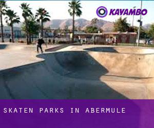 Skaten Parks in Abermule