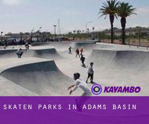 Skaten Parks in Adams Basin