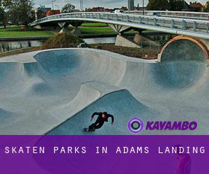 Skaten Parks in Adams Landing