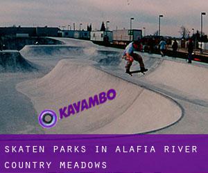 Skaten Parks in Alafia River Country Meadows