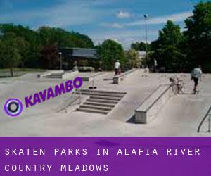 Skaten Parks in Alafia River Country Meadows