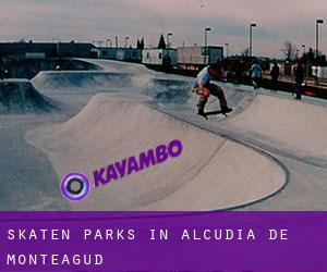 Skaten Parks in Alcudia de Monteagud