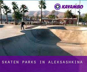 Skaten Parks in Aleksashkina