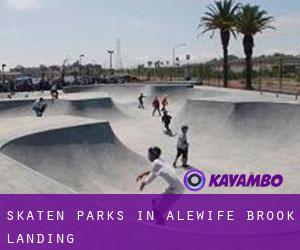 Skaten Parks in Alewife Brook Landing