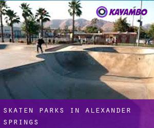 Skaten Parks in Alexander Springs