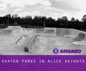 Skaten Parks in Alice Heights