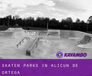Skaten Parks in Alicún de Ortega