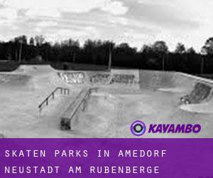 Skaten Parks in Amedorf (Neustadt am Rübenberge)