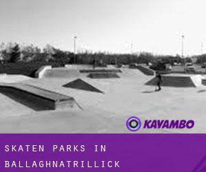Skaten Parks in Ballaghnatrillick