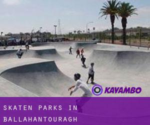Skaten Parks in Ballahantouragh