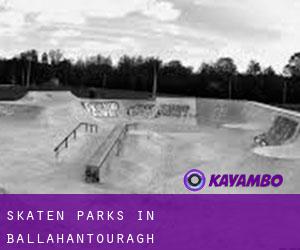 Skaten Parks in Ballahantouragh