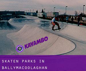 Skaten Parks in Ballymacoolaghan