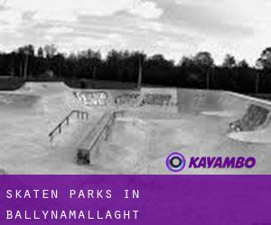 Skaten Parks in Ballynamallaght