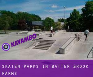 Skaten Parks in Batter Brook Farms