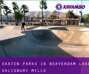 Skaten Parks in Beaverdam Lake-Salisbury Mills