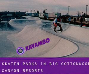Skaten Parks in Big Cottonwood Canyon Resorts
