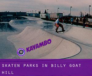 Skaten Parks in Billy Goat Hill