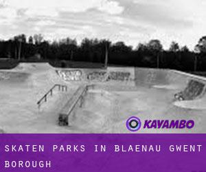 Skaten Parks in Blaenau Gwent (Borough)