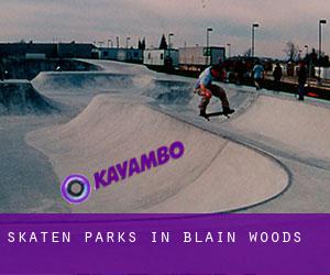 Skaten Parks in Blain Woods