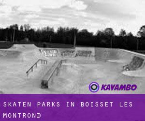 Skaten Parks in Boisset-lès-Montrond
