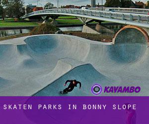 Skaten Parks in Bonny Slope