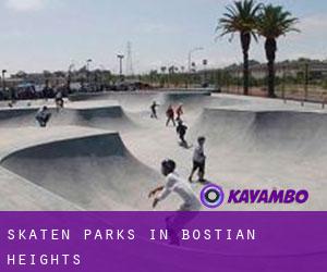 Skaten Parks in Bostian Heights