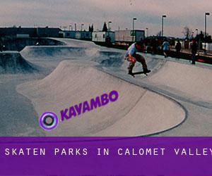Skaten Parks in Calomet Valley