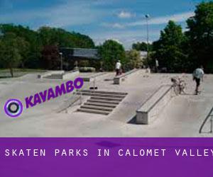 Skaten Parks in Calomet Valley