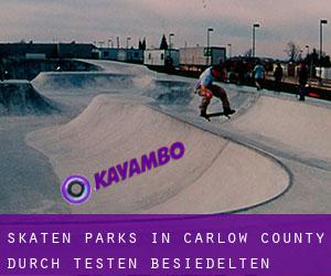 Skaten Parks in Carlow County durch testen besiedelten gebiet - Seite 1