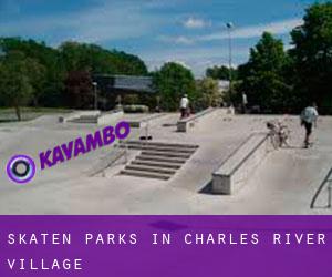 Skaten Parks in Charles River Village