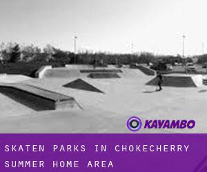Skaten Parks in Chokecherry Summer Home Area