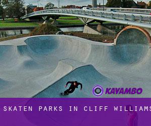 Skaten Parks in Cliff Williams